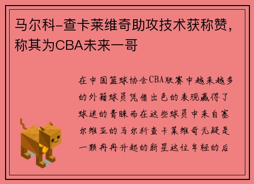 马尔科-查卡莱维奇助攻技术获称赞，称其为CBA未来一哥